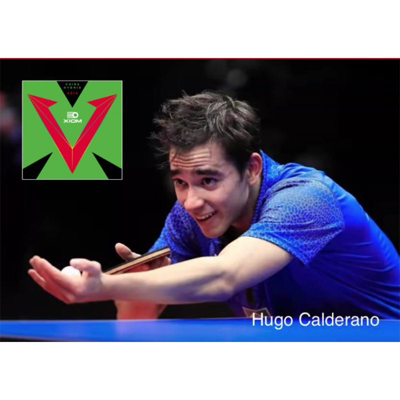 XIOM VEGA ASIA HYBRID 79-079 T - Table Tennis Hybrid Rubbers review and price