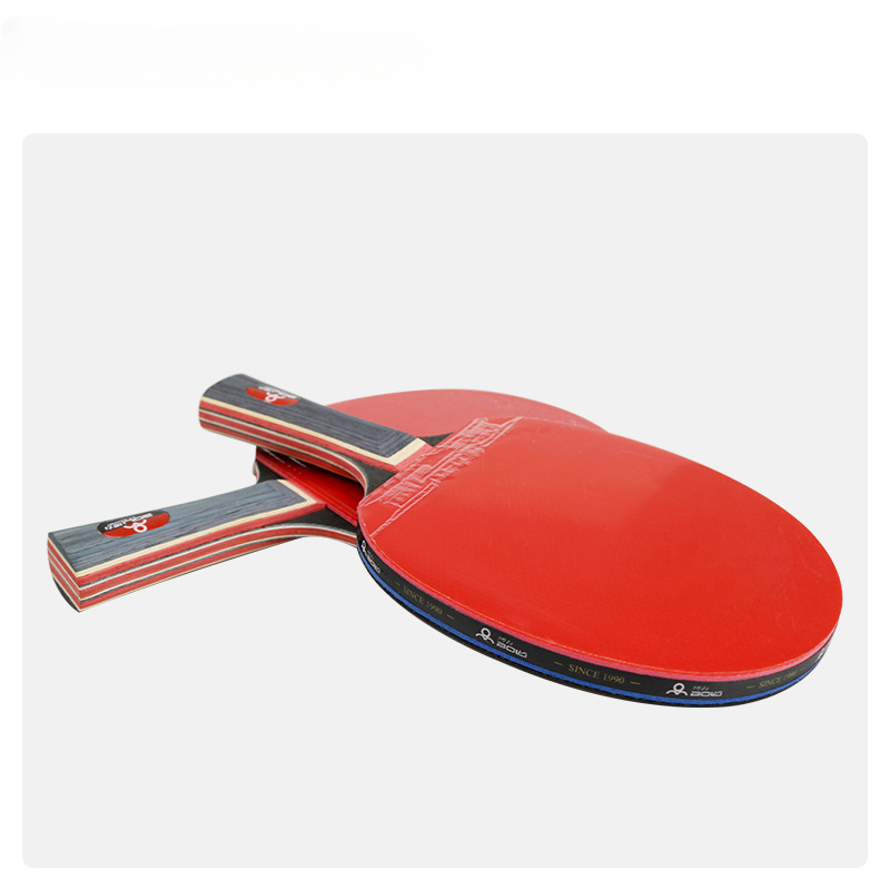 Training Entertainment 2 Racke - Table Tennis Net Set review and price