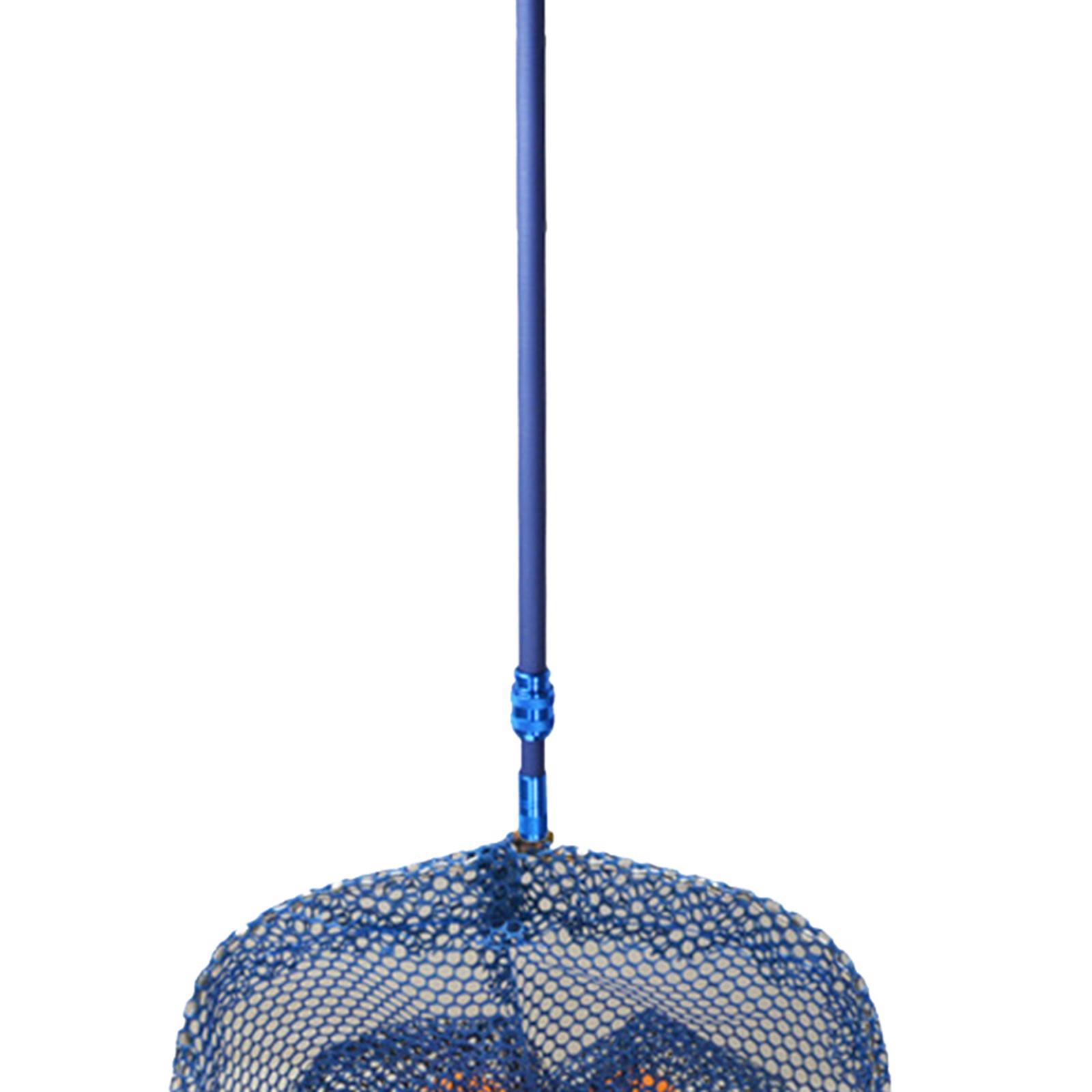 Carbon Fiber Table Tennis Ball - Table Tennis Net review and price